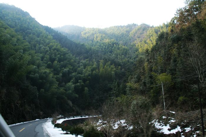 nEO_IMG_庐山龙虎山黄山游2011.初一--初五 511.jpg