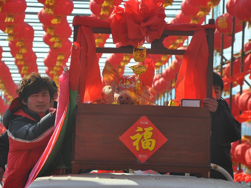 PhotoCap_027.jpg