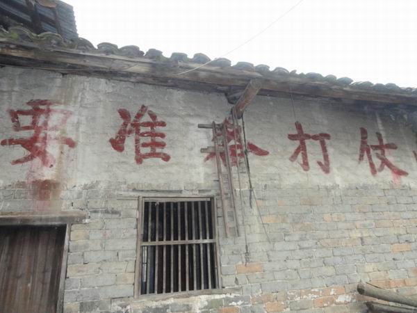 调整大小 DSC00121.JPG