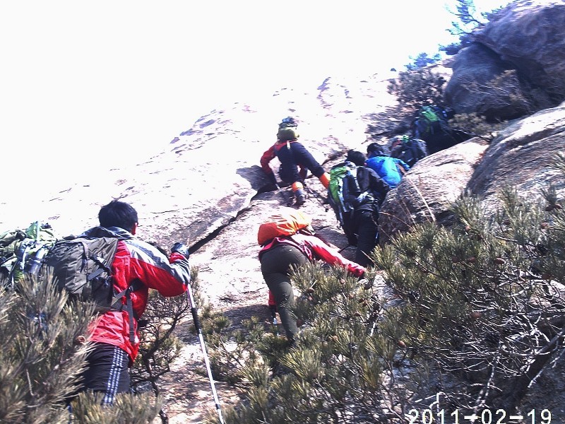PhotoCap_021.jpg
