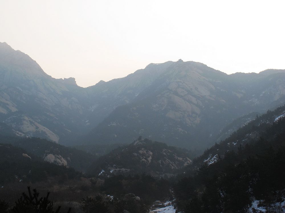 IMG_1255.jpg