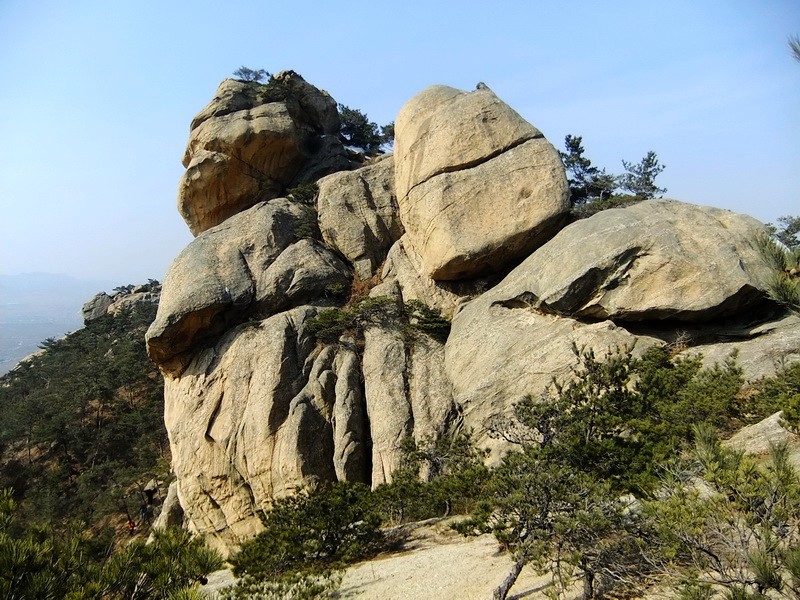 DSCF8308.jpg
