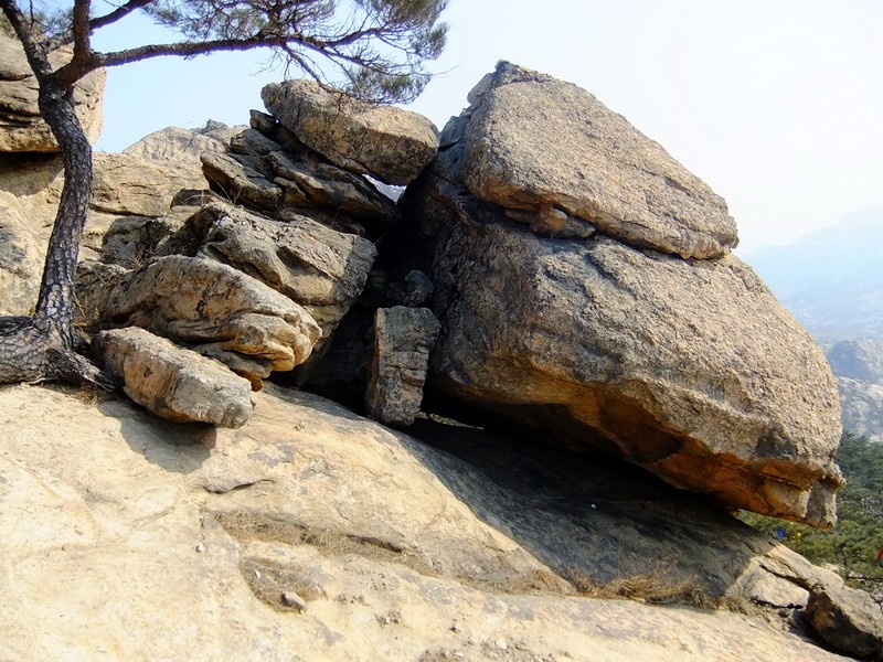 DSCF8295.jpg