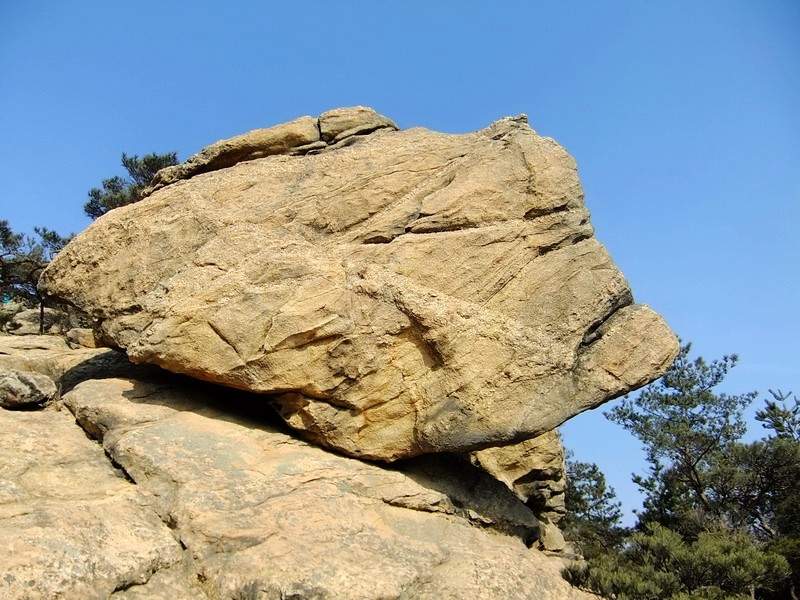 DSCF8298.jpg