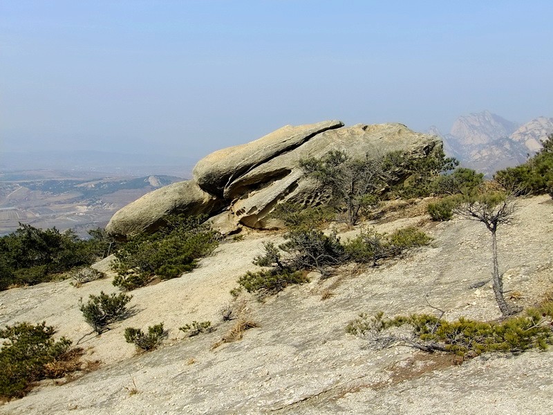 DSCF8316.jpg