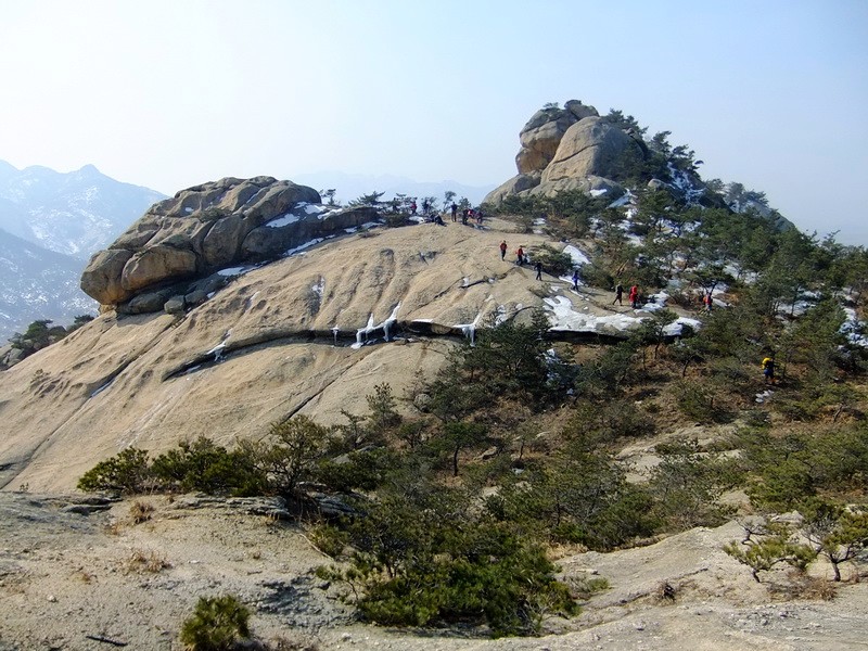 DSCF8315.jpg