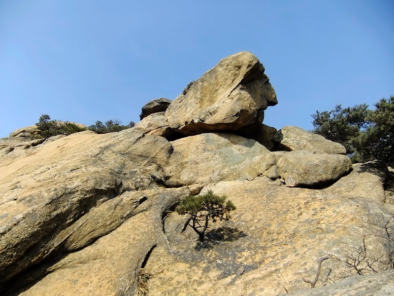 DSCF8361.jpg