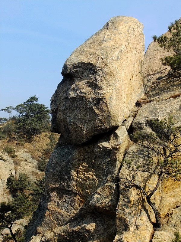 DSCF8343.jpg