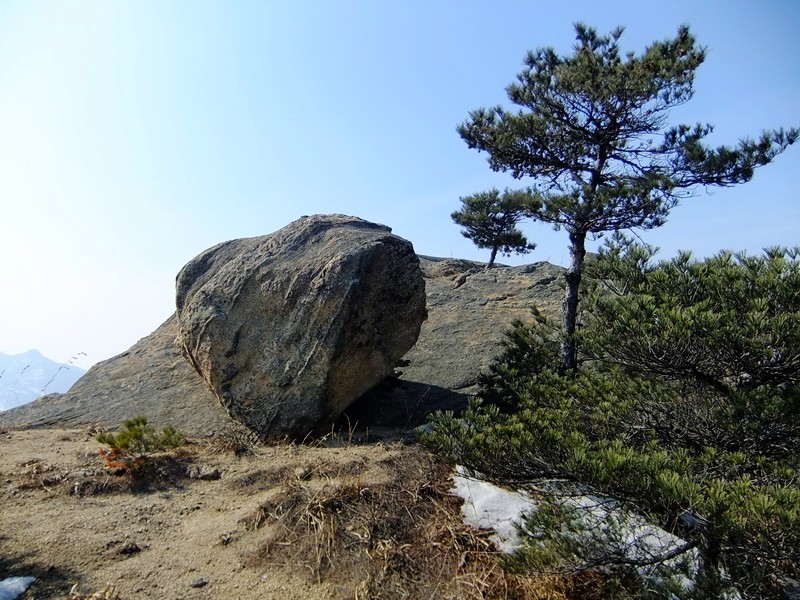 DSCF8347.jpg