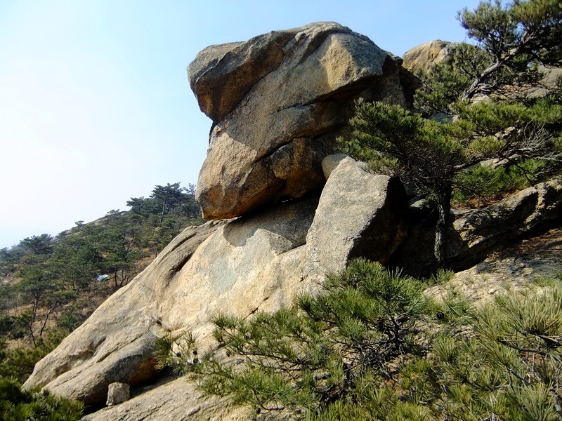 DSCF8358.jpg