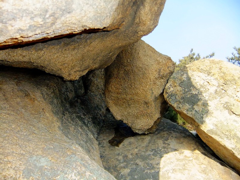 DSCF8360.jpg