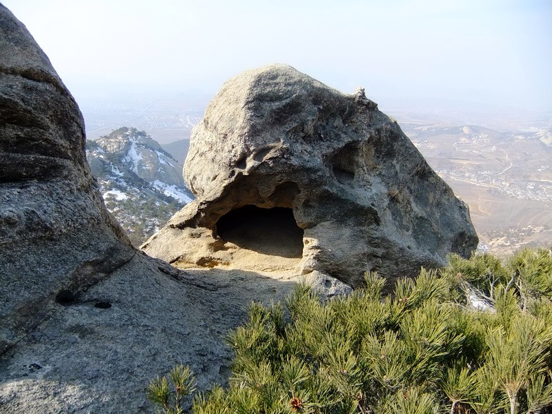 DSCF8334.jpg