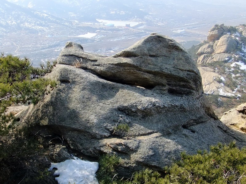 DSCF8339.jpg
