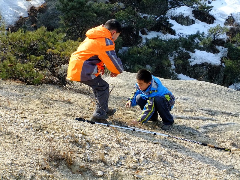 DSCF8379.jpg
