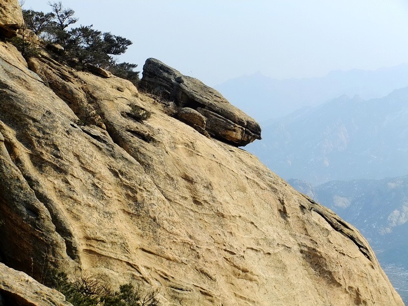 DSCF8415.jpg