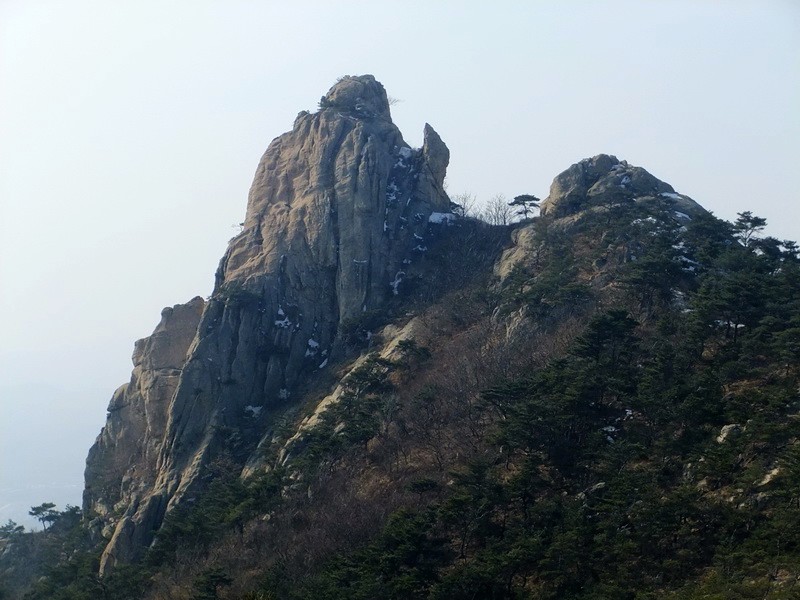 DSCF8420.jpg
