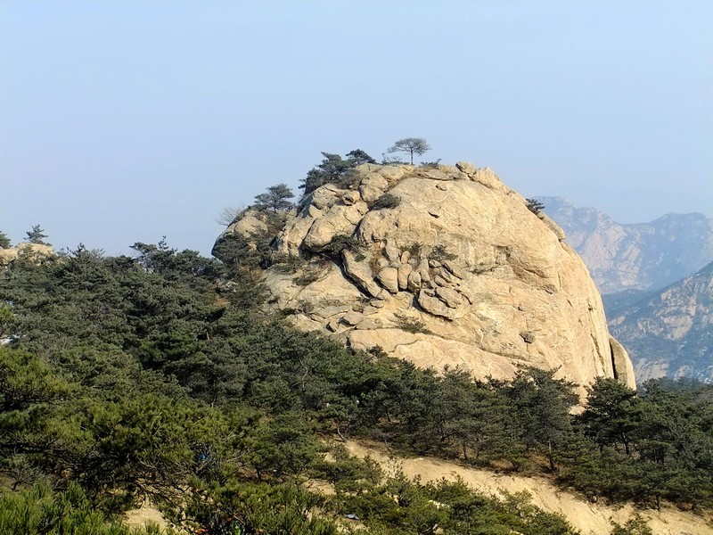 DSCF8421.jpg