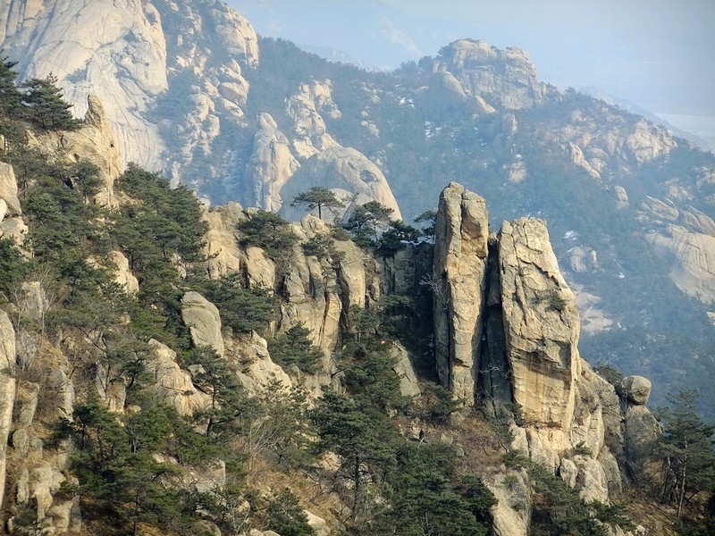 DSCF8459.jpg