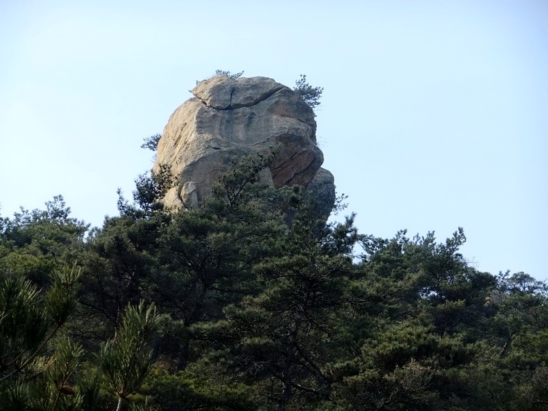 DSCF8460.jpg