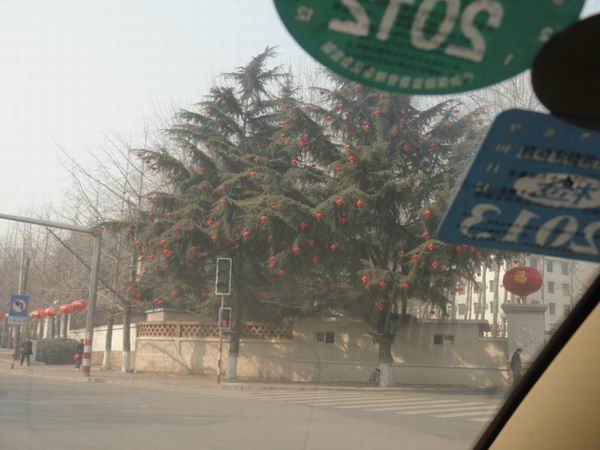 调整大小 DSC00192.JPG