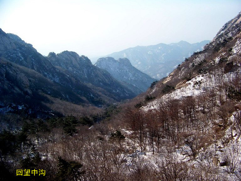 101_1242_缩小大小.JPG