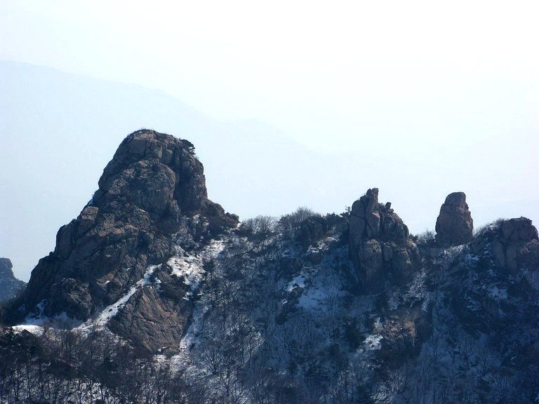 101_1253_缩小大小.JPG
