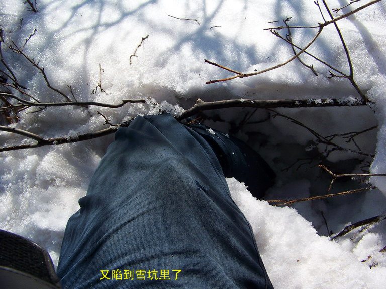 101_1262_缩小大小.JPG