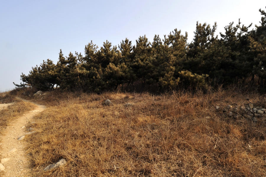 _DSC0789.JPG