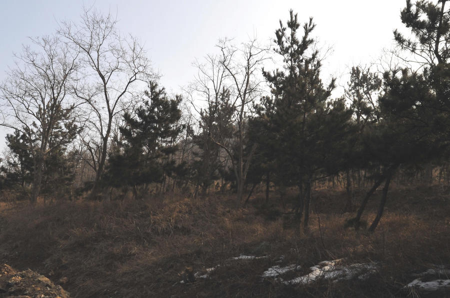 _DSC0796.JPG