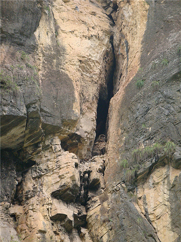 dsc00148_副本.jpg