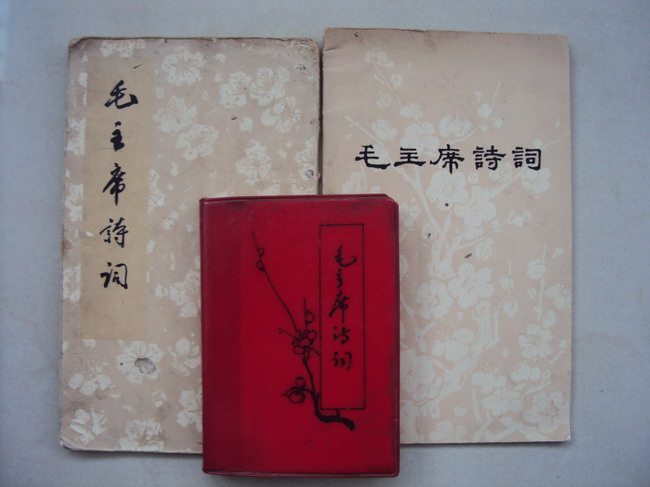 DSC02471_调整大小.JPG