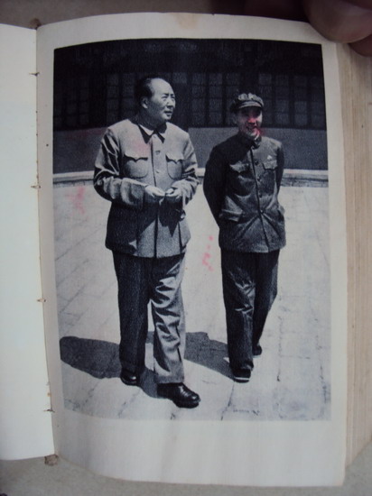 DSC02394_调整大小.jpg