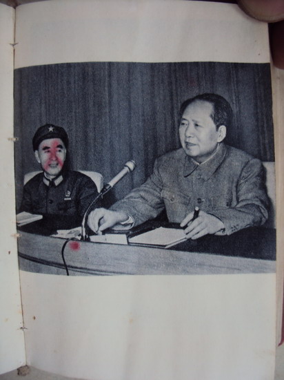 DSC02393_调整大小.jpg