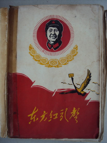 DSC02487_调整大小.jpg