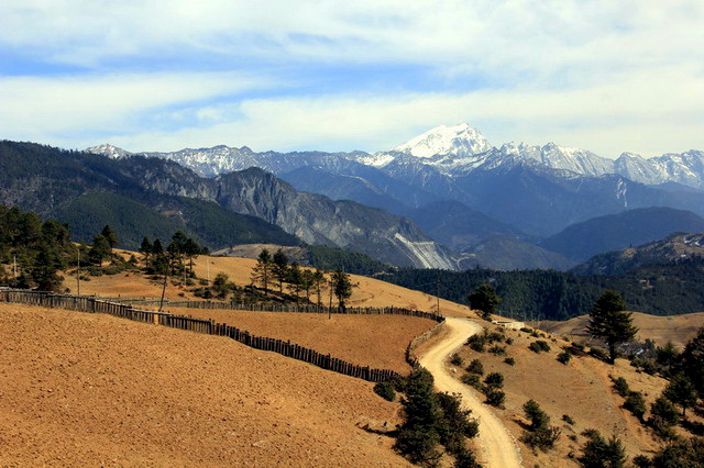 _MG_6308.jpg-02.jpg