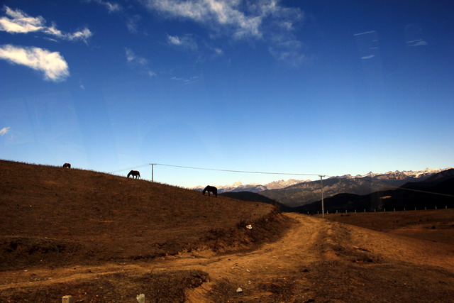 _MG_6315.jpg-02.jpg