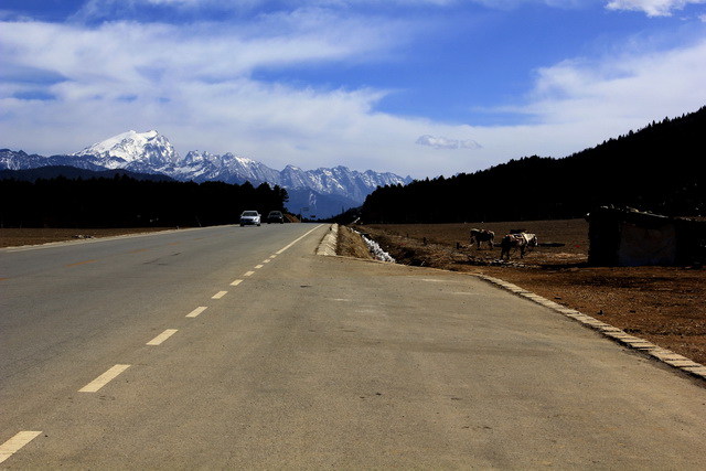 _MG_6325-02.jpg