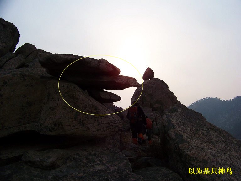 101_1706_缩小大小.JPG