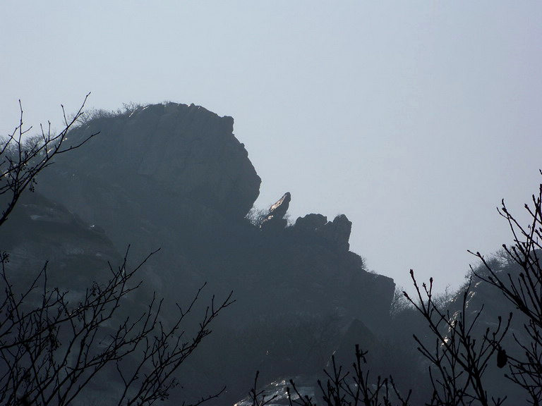 101_1767_缩小大小.JPG