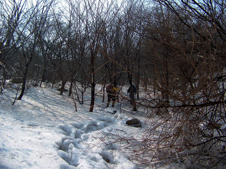 101_1787_缩小大小.JPG