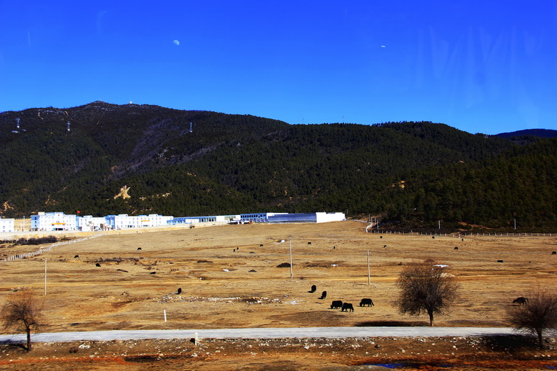 _MG_6353-02.jpg