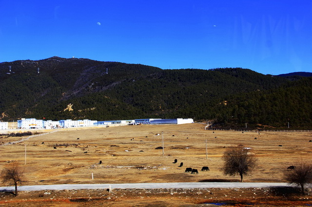 _MG_6353-02.jpg