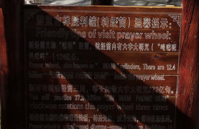 _MG_6362-02.jpg