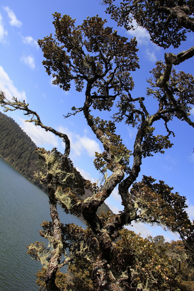 香格里拉 165-02.jpg