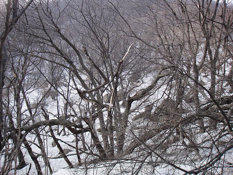 DSC09128.jpg
