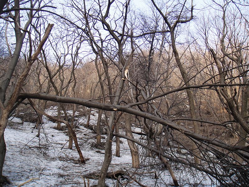 DSC09126.jpg