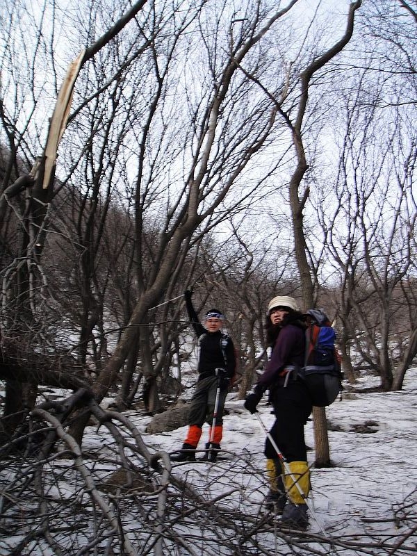 DSC09123.jpg