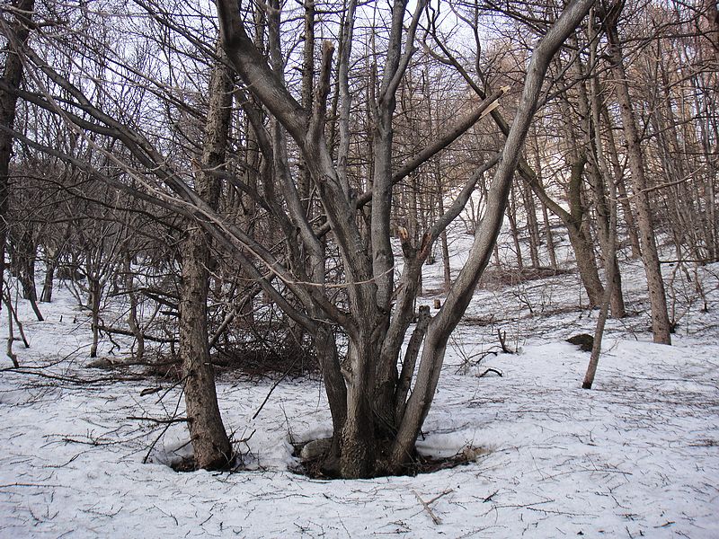 DSC09134.jpg