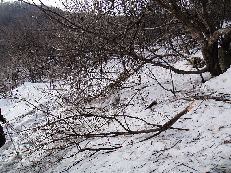 DSC09131.jpg