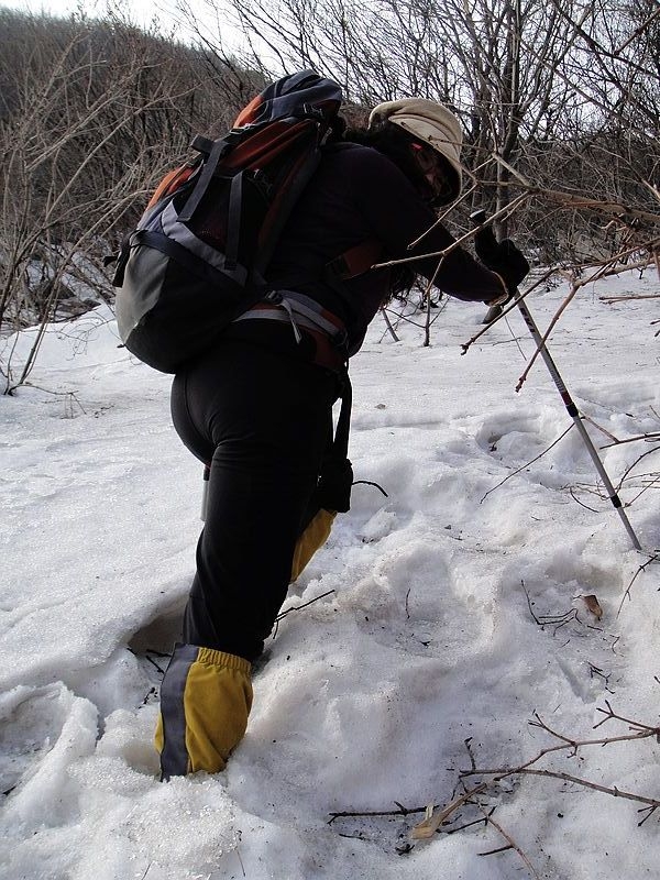 哎呀一声，陷进雪坑